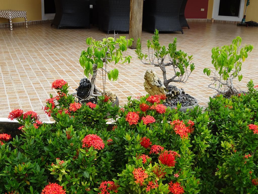 Bohol Sunside Resort Panglao Luaran gambar